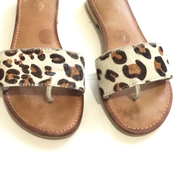 SEYCHELLES Weekender Slides Women Size 8 Leopard - Picture 3 of 6